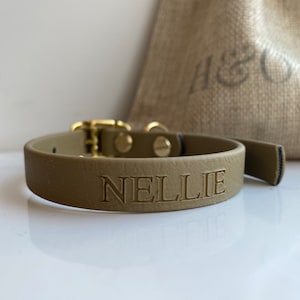 Peut inclure: Un collier de chien en cuir vert clair avec des ferrures dorées et le nom "Nellie" gravé sur le devant.