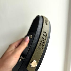 May include: A black and green dog collar with the name "CHILLI" and the number "0740" engraved on it.