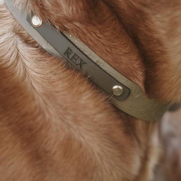 ADD ON - Name Plate For Dog Collar - Embossed Personalisation