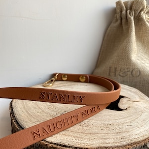 Waterproof Lanyard | Personalised | Dog Walking | Dog Owner Gift