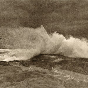 Roar of the Pacific