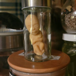 Jarred Fetus Specimen - Rubber Medical Oddity, Two Skin Tones Available