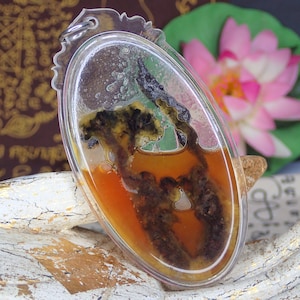 Blessed Cicada / Holy Thai amulet / Wealth Buddhism Talisman Love Charm Rare