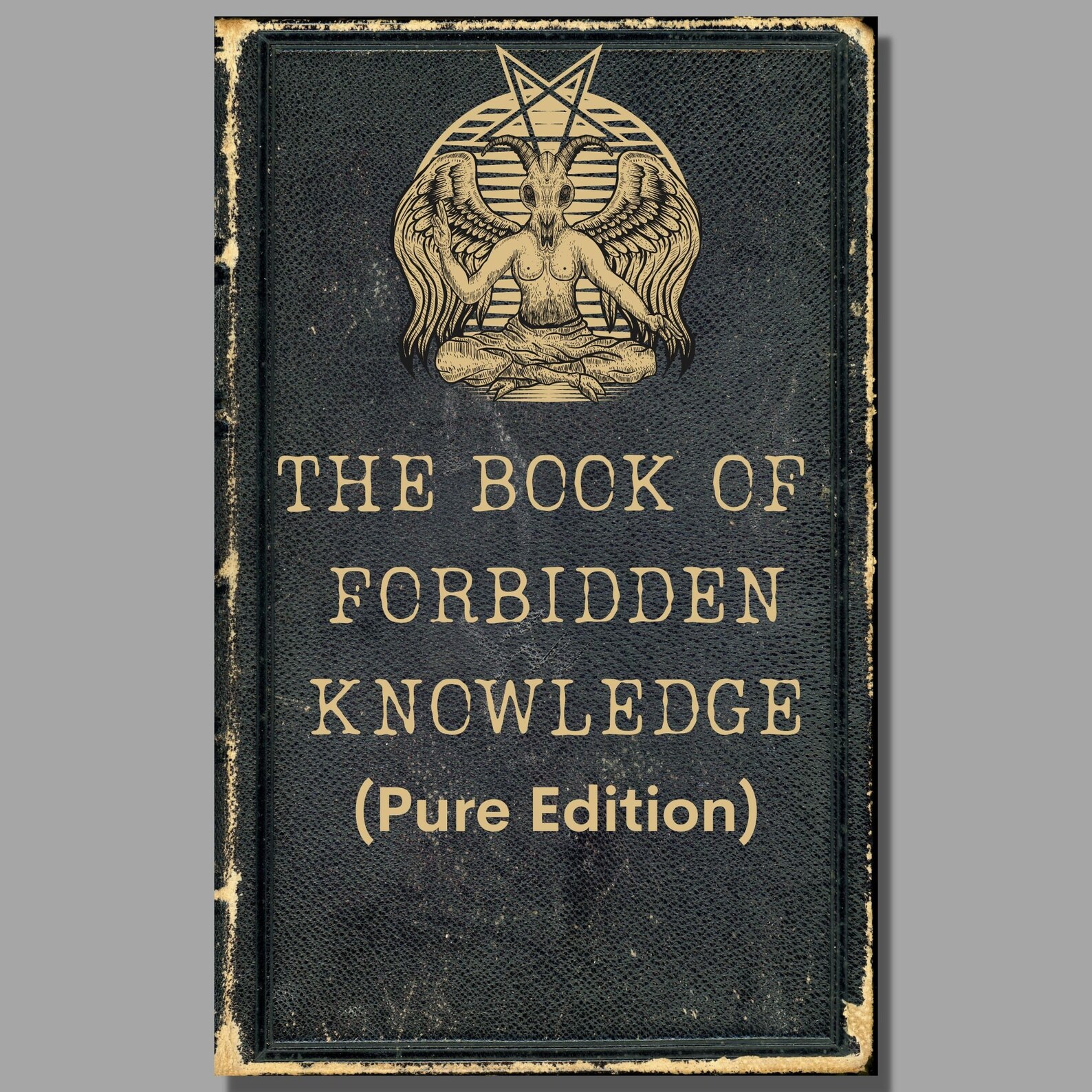 Chizhutch1223: The Forbidden Knowledge - xvthzhe