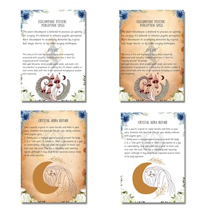 May include: Four illustrated cards with a vintage aesthetic. Each card features a different image and text. The first card features a mushroom illustration and the text "Elecampane Psychic Perception Spell". The second card features a mushroom illustration and the text "Elecampane Psychic Perception Spell". The third card features a woman sleeping and the text "Crystal Aura Repair". The fourth card features a woman sleeping and the text "Crystal Aura Repair".