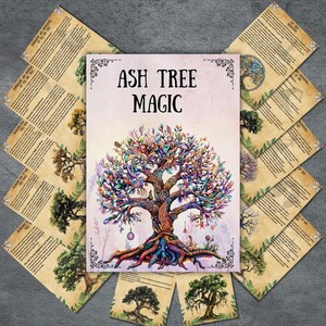 May include: A book titled "Ash Tree Magic" with a colorful tree illustration. Surrounding the book are several pages with text and tree drawings. The tree illustration features a detailed trunk, roots, and vibrant leaves in shades of purple, blue, and green.