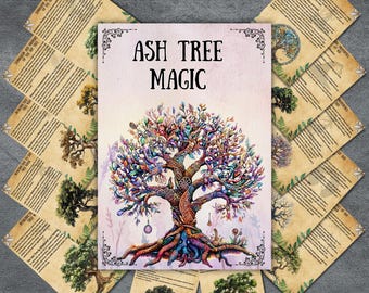 Pagine del Grimorio Magico dell'Albero di Frassino, Libro delle Ombre, Conoscenza degli Alberi, Stregoneria, Stregoneria degli Alberi, Rituali degli Alberi, Stregoneria 101, Wicca, BOS