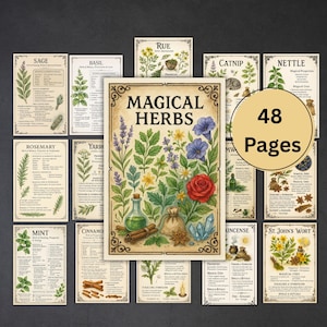 Puede incluir: Una colección de grabados botánicos con varias hierbas, incluyendo salvia, albahaca y romero, con información detallada e ilustraciones. La imagen central muestra "MAGICAL HERBS" con un vibrante arreglo floral y el texto "48 Pages".