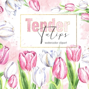 Tender Tulips, Spring Flowers watercolor clipart