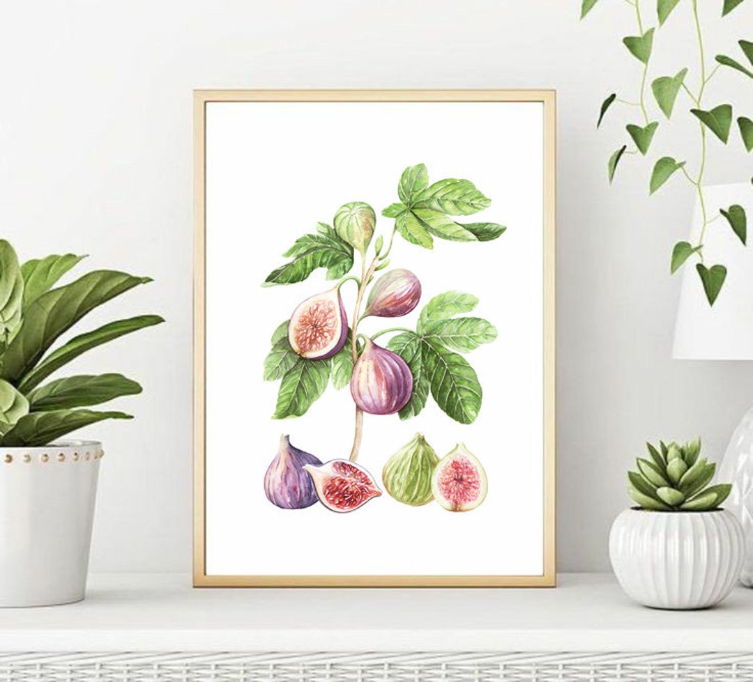 Figs Digital Watercolor Print, Home Decor, Watercolor Printable Figs - Etsy
