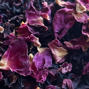 Hibiscus + Rose