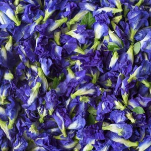 Butterfly Pea Flower