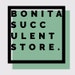 Avatar de BonitaSucculentStore