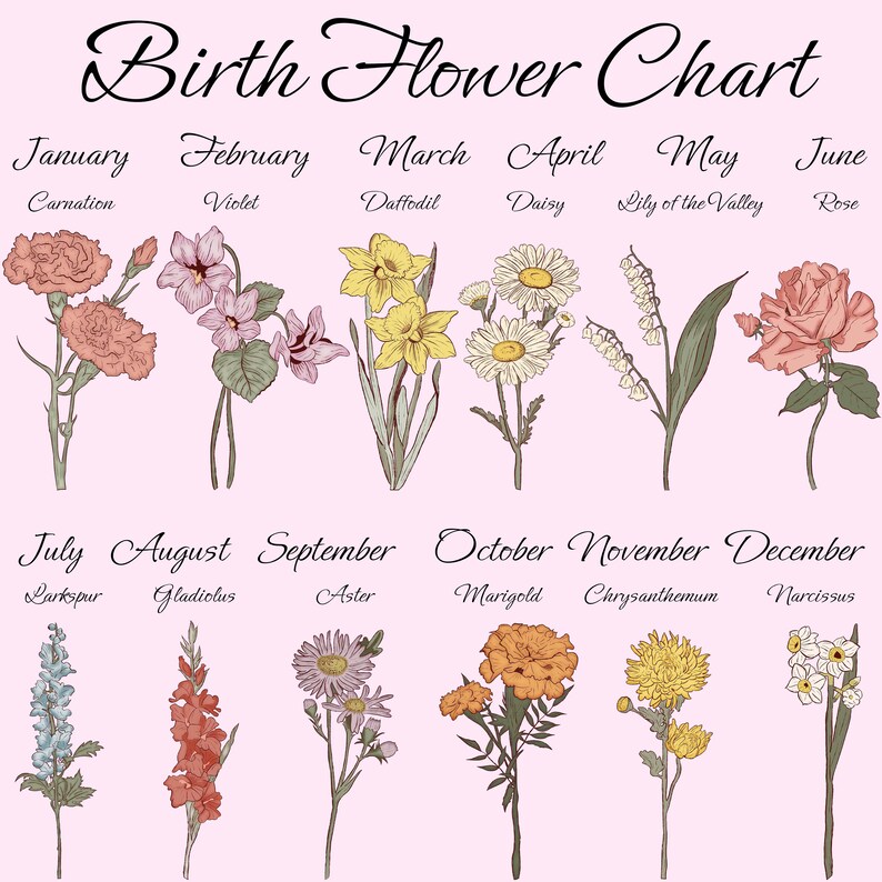 a bunch of flowers that are on a pink background
