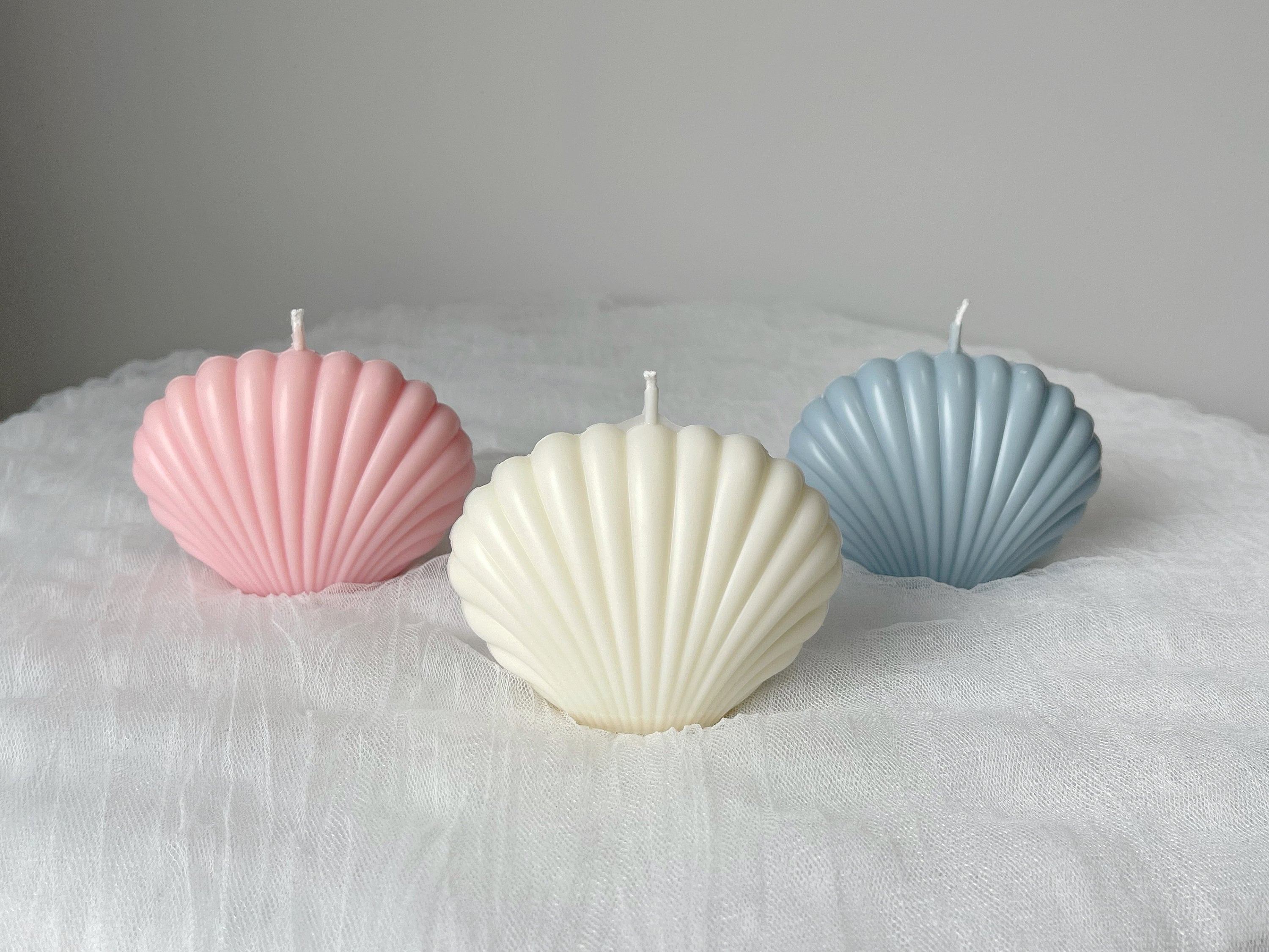 Shell Candle Seashell Candle Hand Poured Candle Candle Etsy