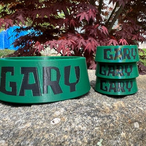 Le bol de Gary de Bob l'éponge