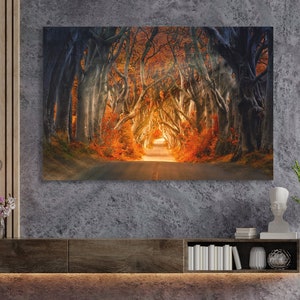 Autumn Trees Canvas Art Print Nature Landscape Wall Art Trees Along The Road Canvas Ready to Hang for Living Room Sunset Wall Art Decor