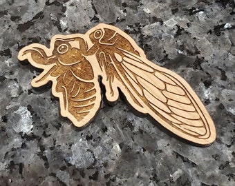 Wooden Laser Cut Cicada Magnet