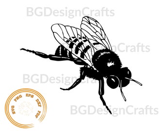 Bee SVG, Bee DXF, Bee Clipart, Bee svg cut file, Bee cut file, Bee png, Bee svg file for cricut, Bee silhouette