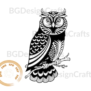 Owl SVG, Owl DXF, Owl Clipart, Owl svg cut file, Owl cut file, Owl png, Owl svg file for cricut, Owl silhouette
