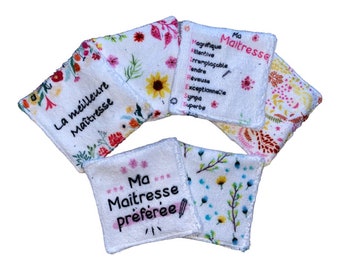 Pouch - Washable wipes - teacher theme