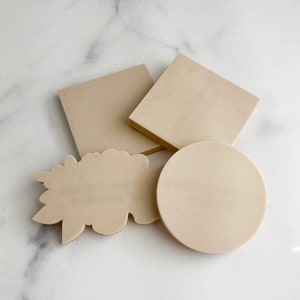Cookie canvas / practice cookies