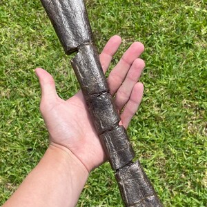 15.4” Montana Fossil Gryposaurus Radius Dinosaur Bone HUGE Rare Cretaceous