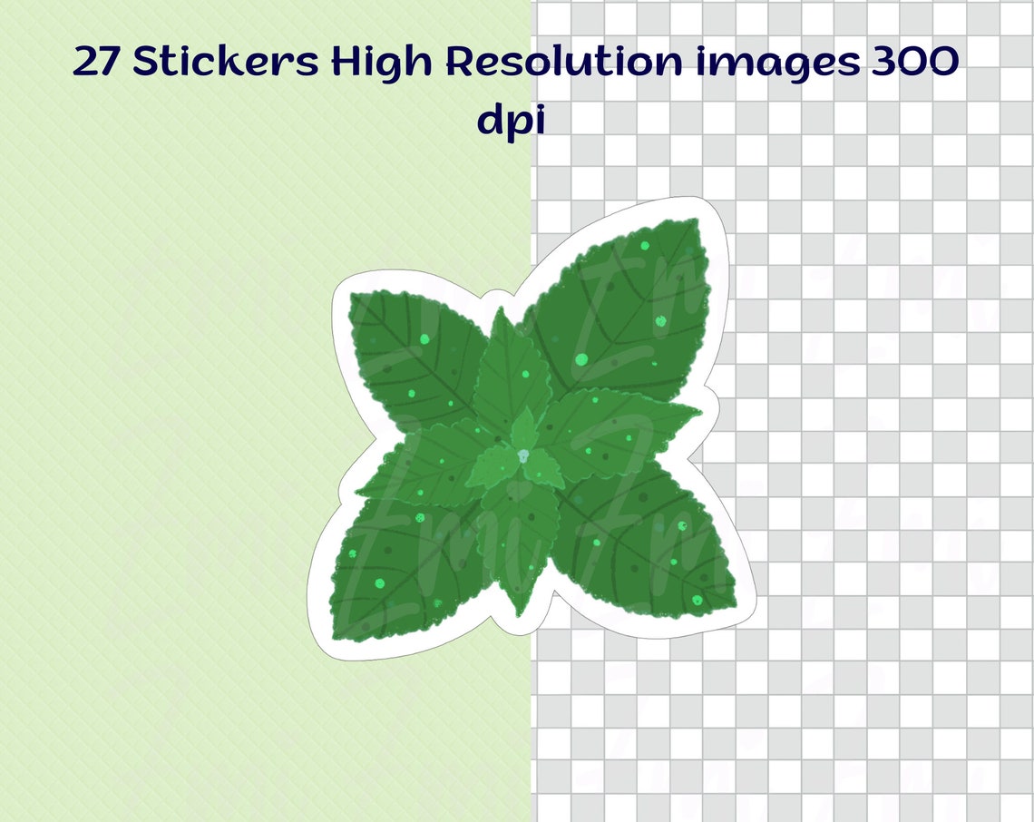 Botanical Flower Digital Sticker Pack Png for Goodnotes Planner ...
