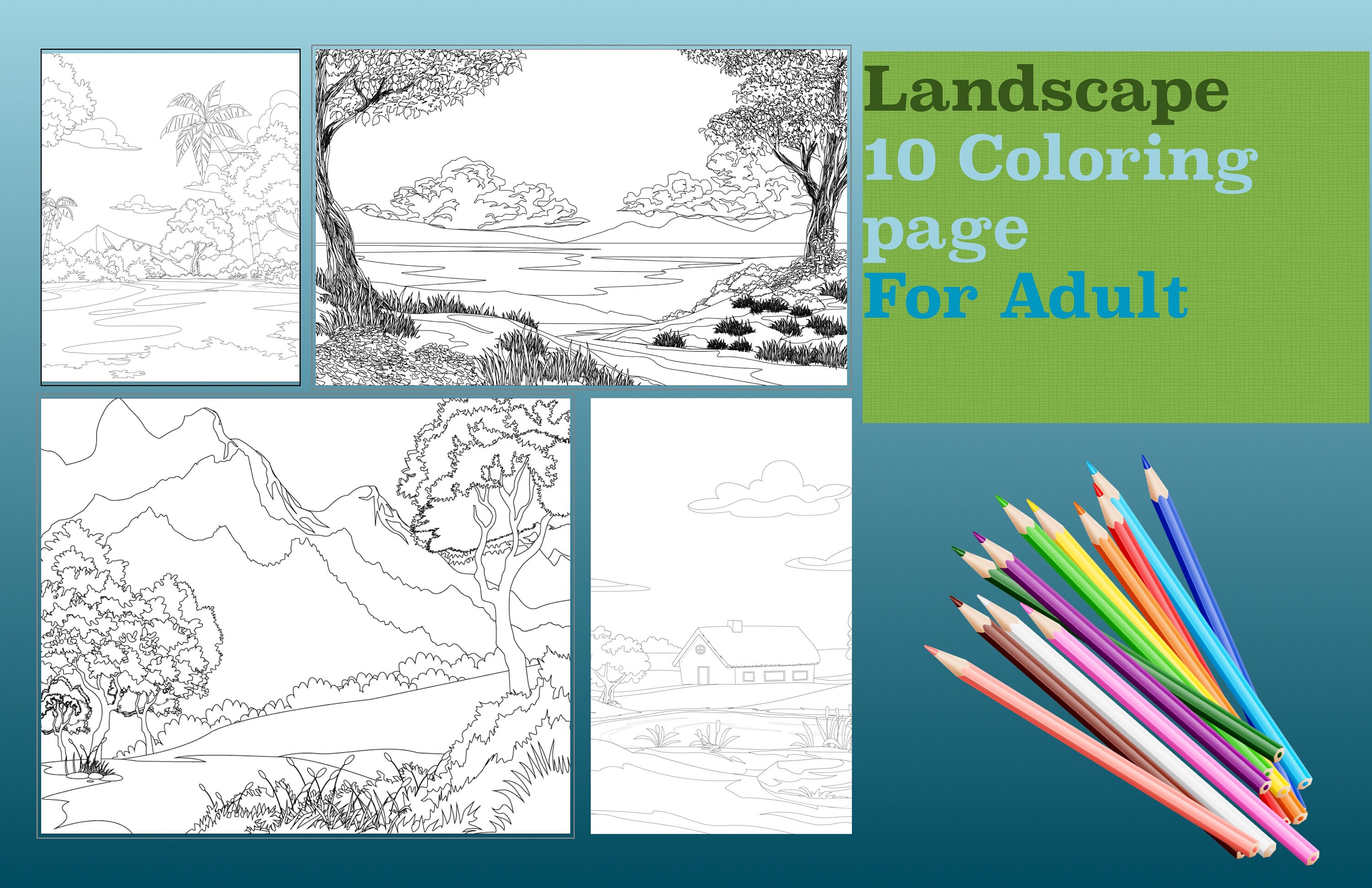 landscape coloring pages for adult etsy