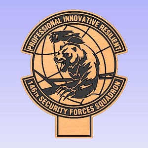 May include: A brown wooden plaque with a black and white emblem. The emblem features a bear, a globe, and the text "Professional Innovative Resilient 146th Security Forces Squadron".