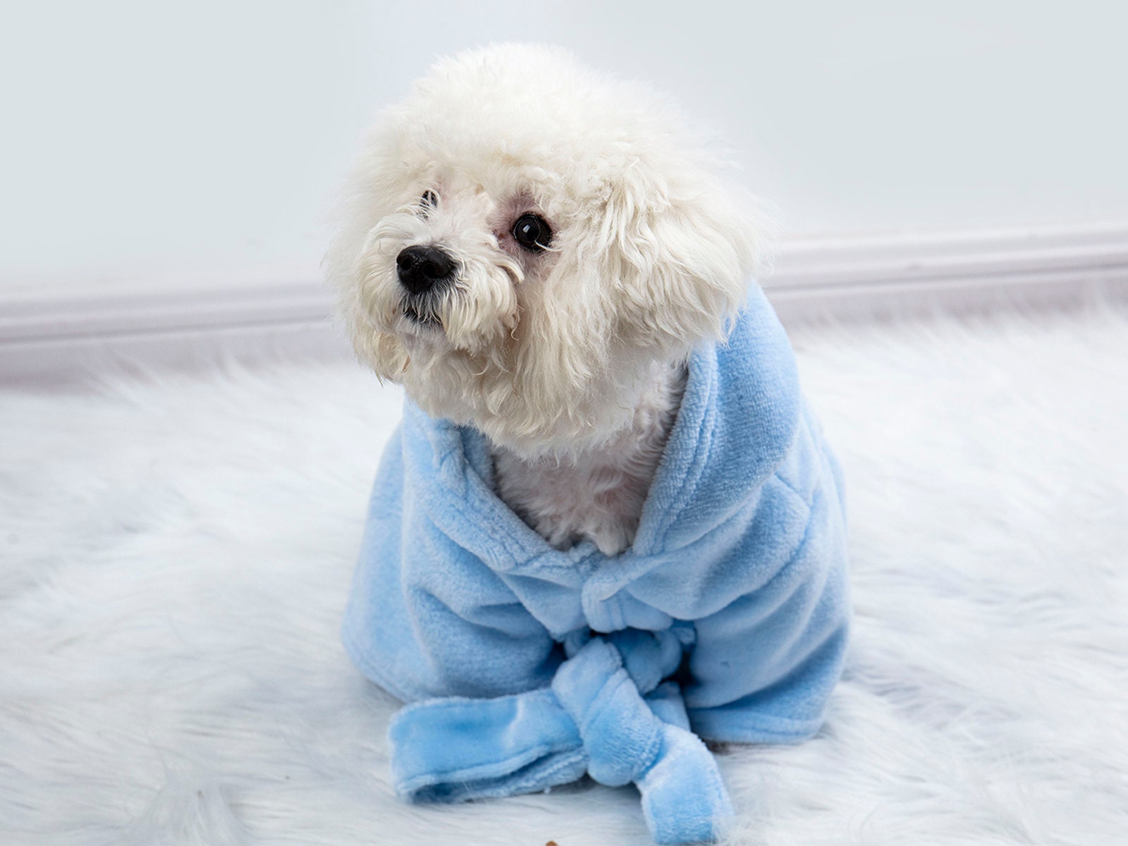 Custom dog bathrobe Personalized pet bathrobepink dog winter Etsy
