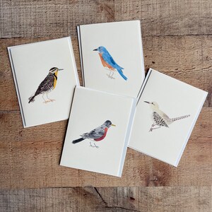 Spring Birds - Tarjetas ilustradas a mano