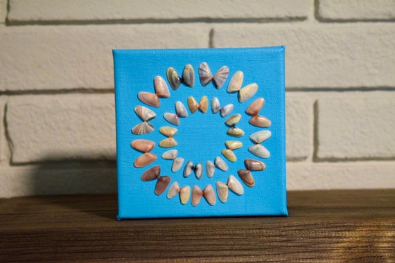 Coquina Shell Art on Mini Canvas - Etsy