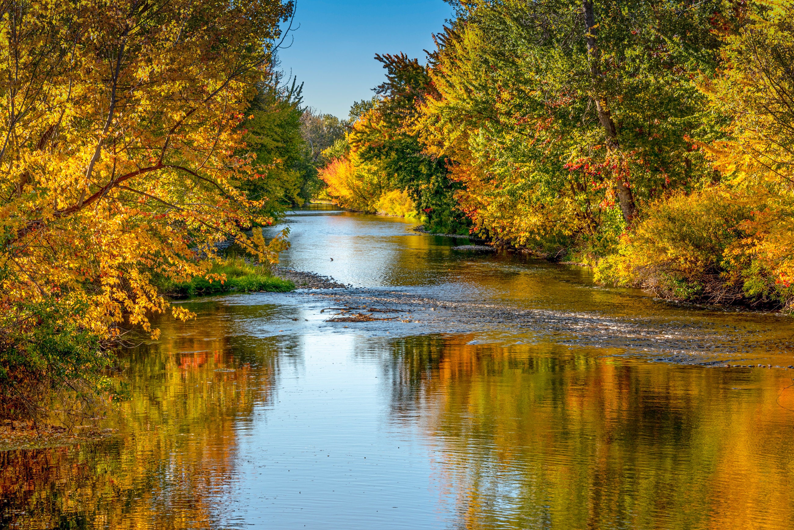 Boise River in the Fall Etsy