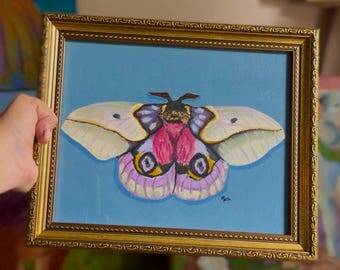 Moth Original Art Framed Canvas