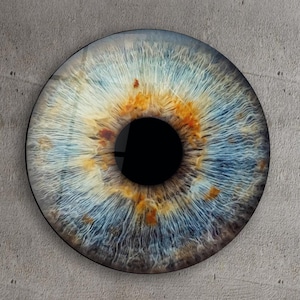 May include: A close-up of a blue, brown, and yellow eye with a black pupil. The eye is framed in a circular black frame and is hanging on a gray wall. The eye is a modern art piece.