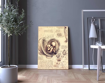 Photo Poster Reproduction Poster drawing Leonardo da Vinci Physiology of the fetus birth pregnancy science of childbirth birth