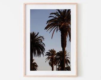 Palm trees - Photography print art decor