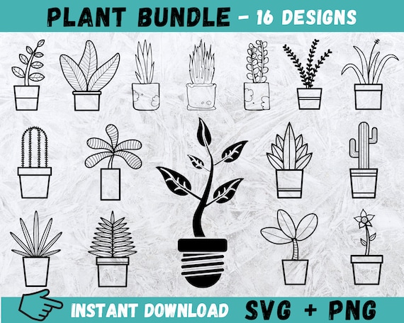 Handgezeichnete Pflanze SVG Bundle: Zimmerpflanze Clipart (digitaler  Download) - Etsy.de