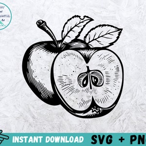 Apple SVG Bundle, Apple Svg, Fruit SVG, Apple Cricut, Apple Cut File ...