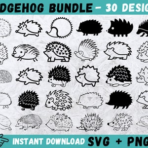 Ouriço SVG, Ouriço Cricut, Ouriço Clip Art, Ouriço Clipart, Arquivos de Corte para Cricut, Ouriço Silhueta, Download Instantâneo, Vetor, Png