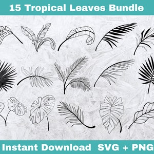 Tropical Leaves SVG, monstera leaf svg clipart, leaf svg, commercial use svg, jungle leaves clipart, palm branch svg, tropical party decor