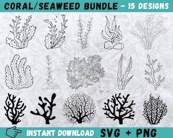 Coral & Seaweed SVG Bundle: Hand-Drawn Marine Plants (SVG, PNG)