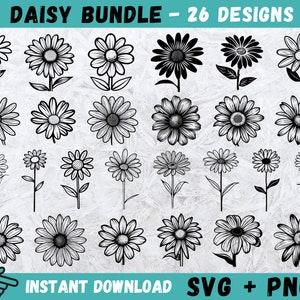Pacchetto Daisy Svg, Daisy Svg, Daisy Cricut, Flower Svg, Floral Svg, Wildflower Svg, Daisy Clipart, Daisy Silhouette, Download istantaneo, Vettore