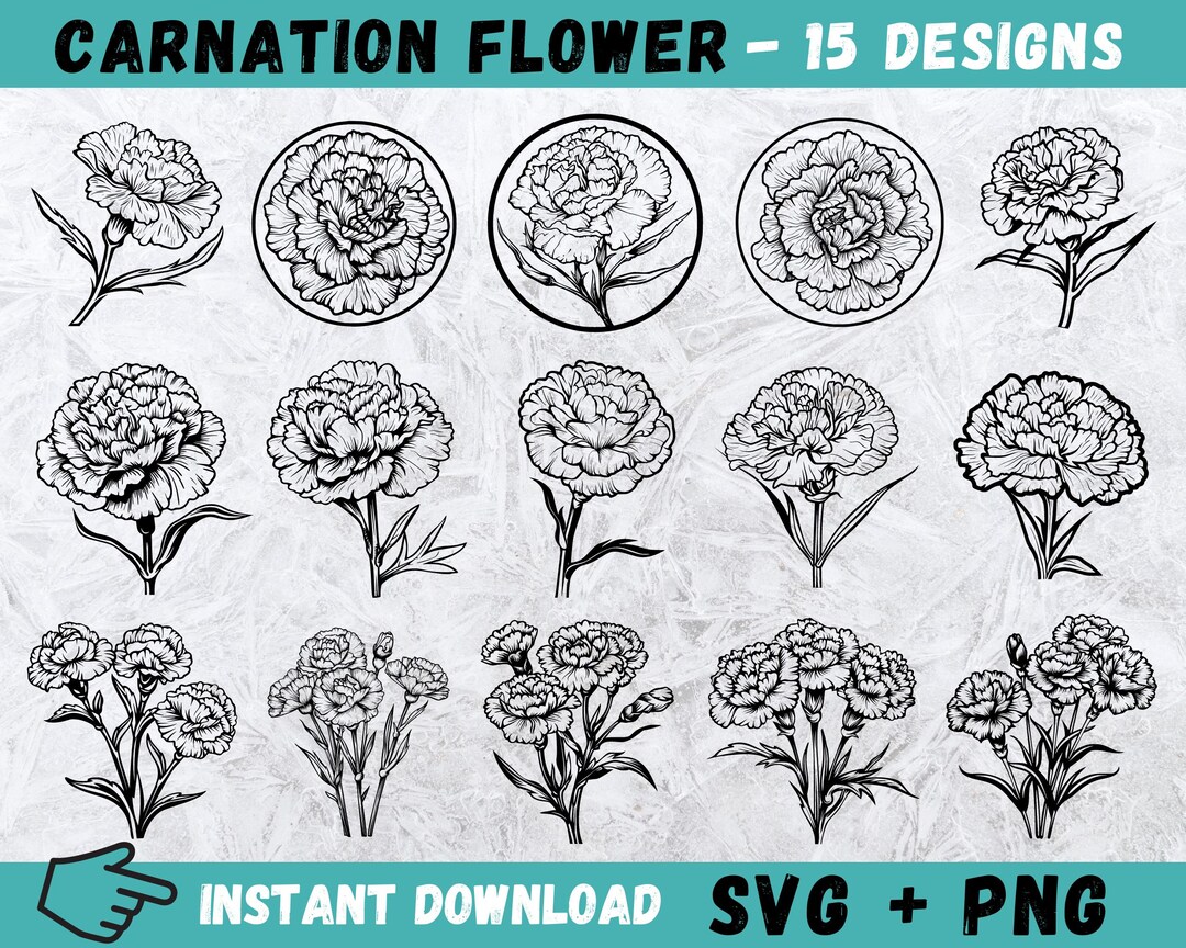 Carnation Flower SVG Bundle: Line Art Designs (instant Download) - Etsy