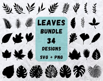 Hand Drawn Leaves SVG Bundle: 34 Leaf Designs (SVG, PNG)