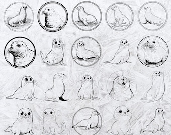 Seal SVG Bundle: Hand-Drawn Sea Animal Designs, Cricut Files (Digital Download)