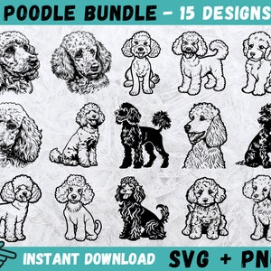 Pudel SVG, Pudel Clipart, Pudel Cut Files, Pudel Silhouette, süße Welpen SVG, Pudel Hund Deko, Vektor, süße Hund Cricut, Instant Download