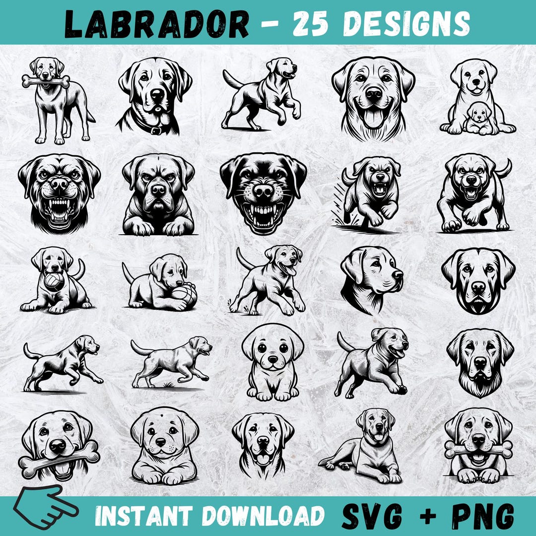Labrador Retriever SVG Clipart Bundle: Dog Cut Files (instant Download ...