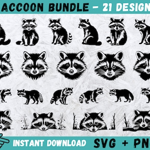 Raccoon stickers Vectors & Illustrations for Free Download